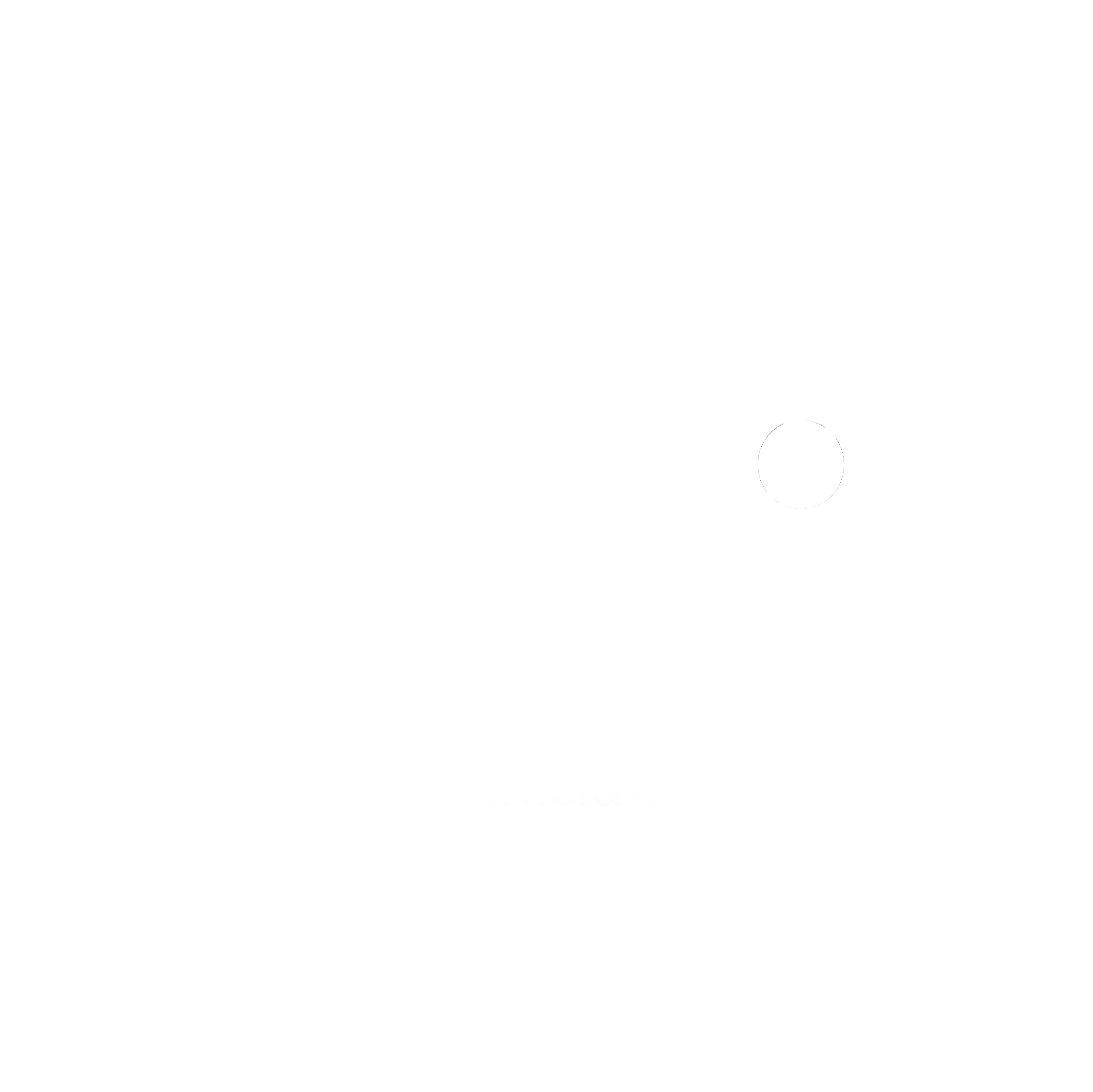 StageSoc logo
